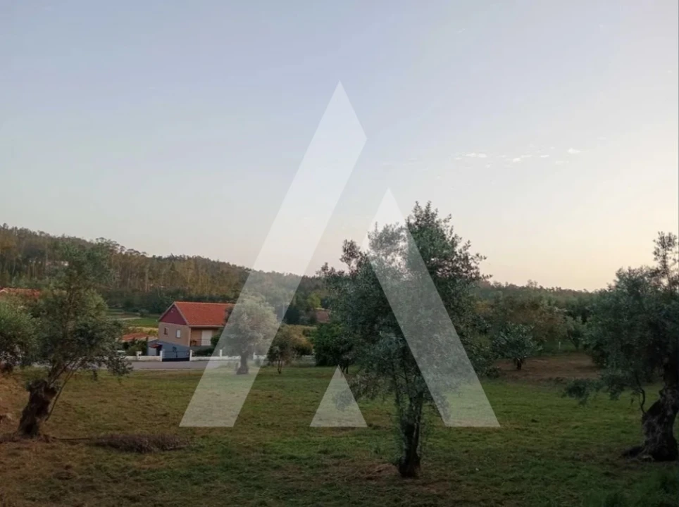 Terreno para Venda em Pelariga Foto 8