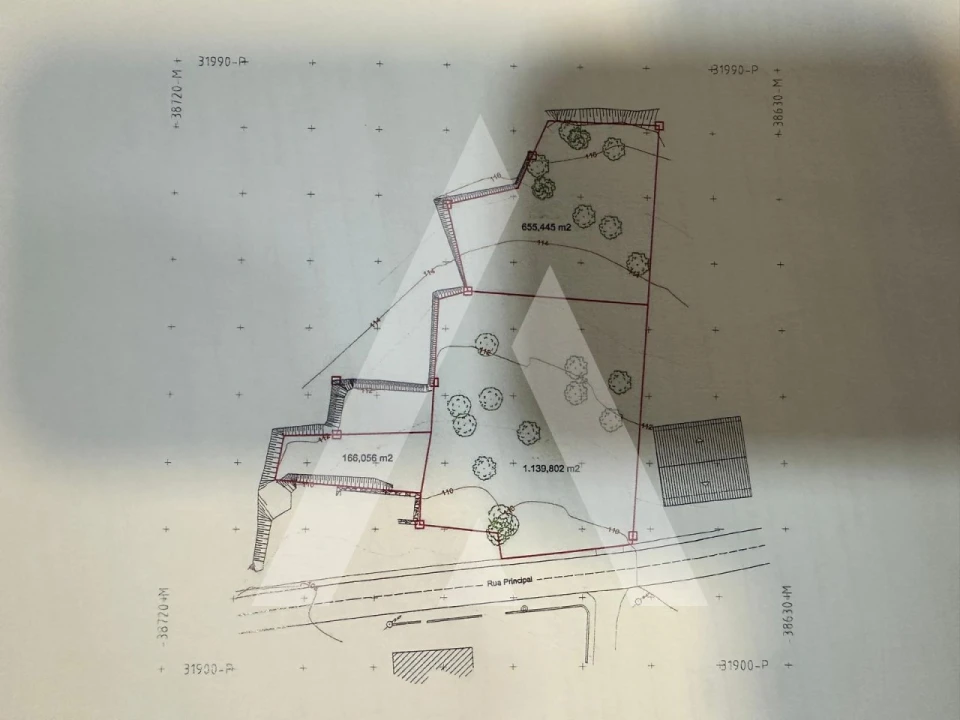 Terreno para Venda em Pelariga Foto 3