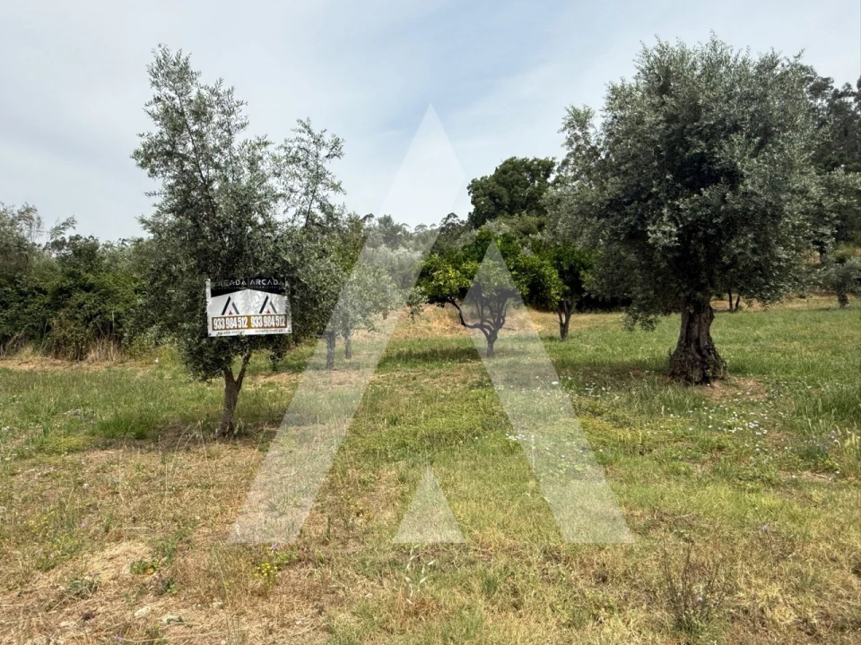 Terreno para Venda em Pelariga Foto 1