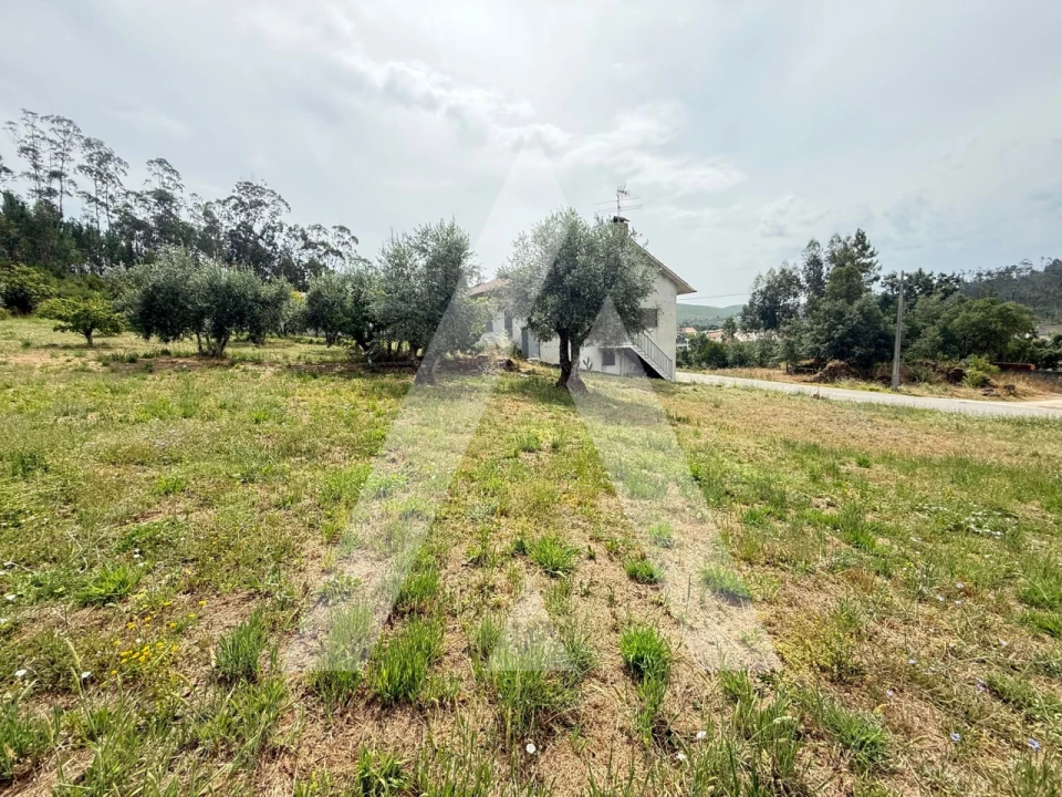 Terreno para Venda em Pelariga Foto 5