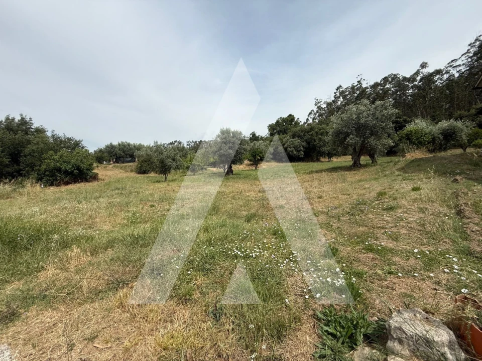 Terreno para Venda em Pelariga Foto 7