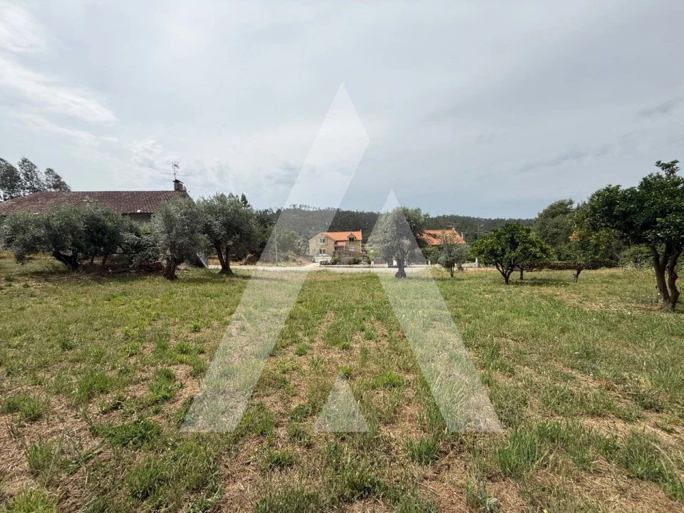 Terreno para Venda em Pelariga Foto 10