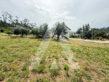 Terreno para Venda em Pelariga
