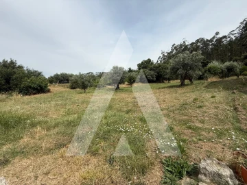 Terreno para Venda em Pelariga