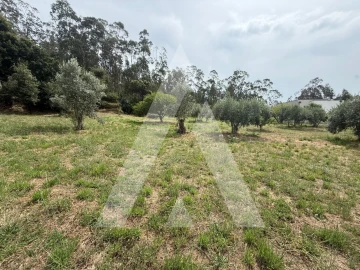 Terreno para Venda em Pelariga