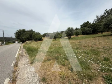 Terreno para Venda em Pelariga