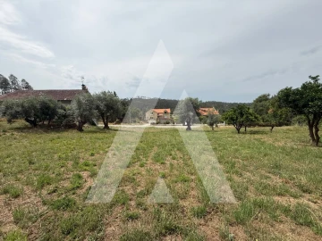 Terreno para Venda em Pelariga