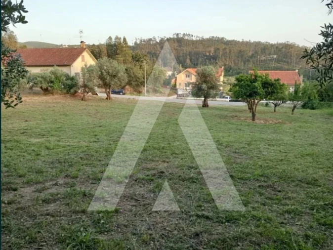 Terreno para Venda em Pelariga Foto 2