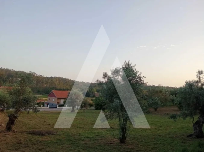 Terreno para Venda em Pelariga Foto 8