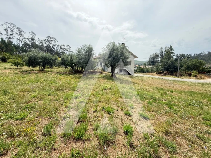 Terreno para Venda em Pelariga Foto 5