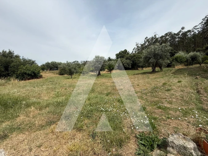 Terreno para Venda em Pelariga Foto 7