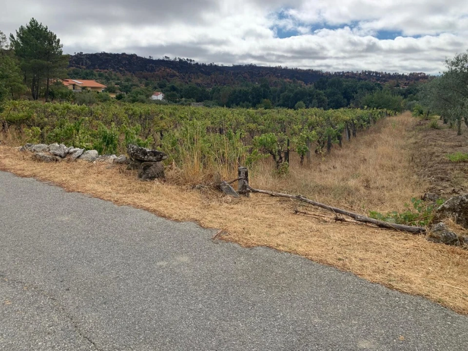 Terreno para Venda em Freixedas Foto 2