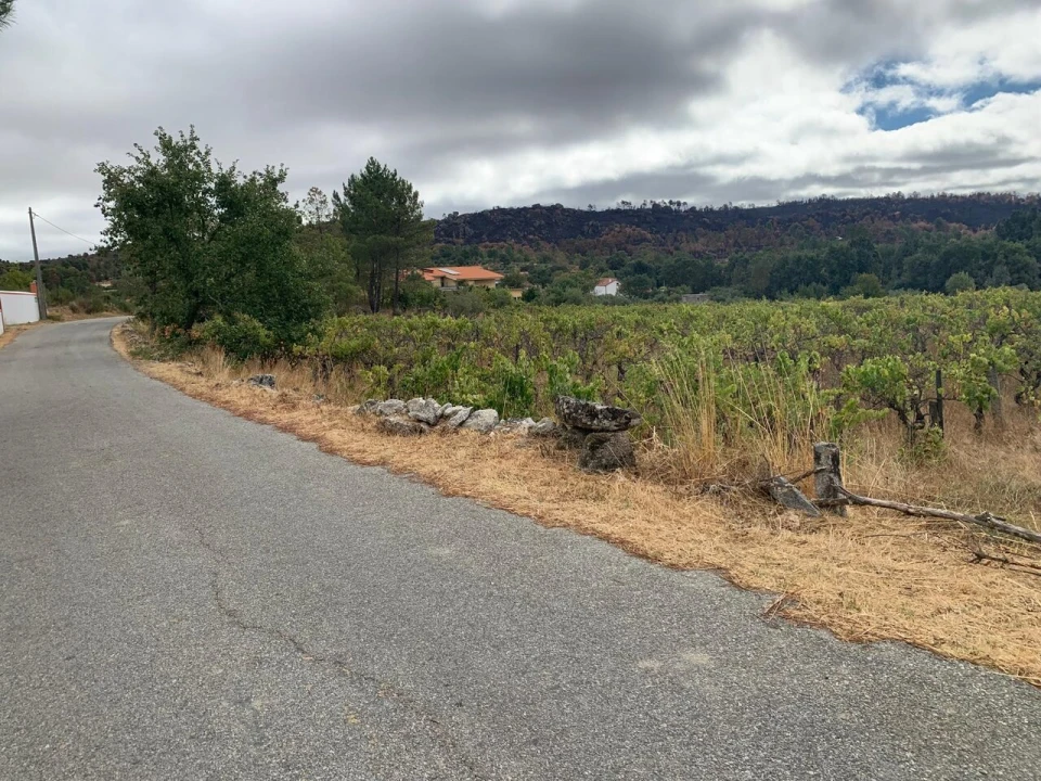 Terreno para Venda em Freixedas Foto 10