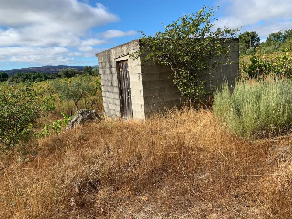 Terreno para Venda em Freixedas Foto 17