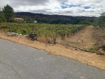 Terreno para Venda em Freixedas