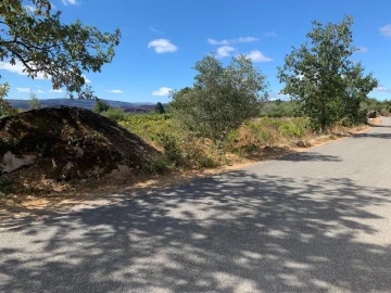Terreno para Venda em Freixedas