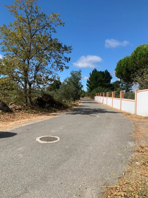 Terreno para Venda em Freixedas