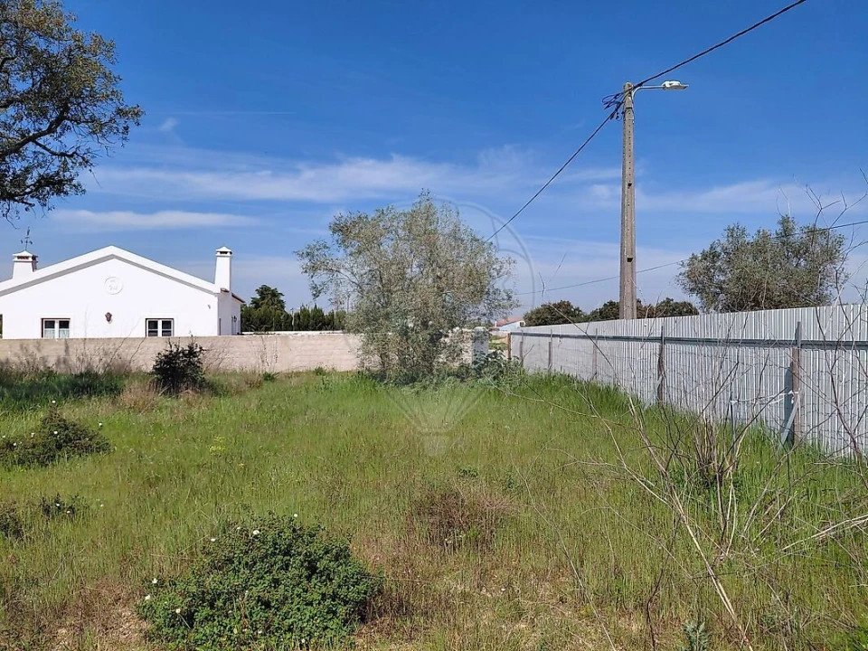 Terreno para Venda em Azeitão (São Lourenço e São Simão) Foto 2