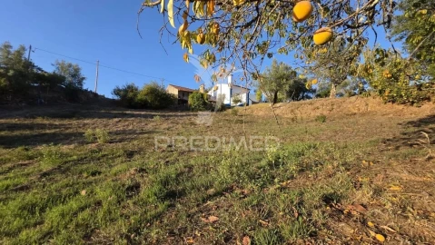 Moradia T6 para Venda em Ferreira do Zezere