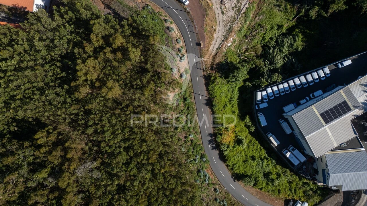 Terreno para Venda em Caniço Foto 12