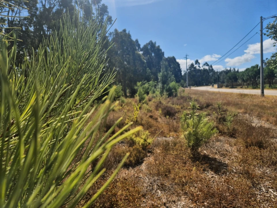 Terreno para Venda em Moinhos de Gandara Foto 1