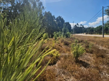 Terreno para Venda em Moinhos de Gandara