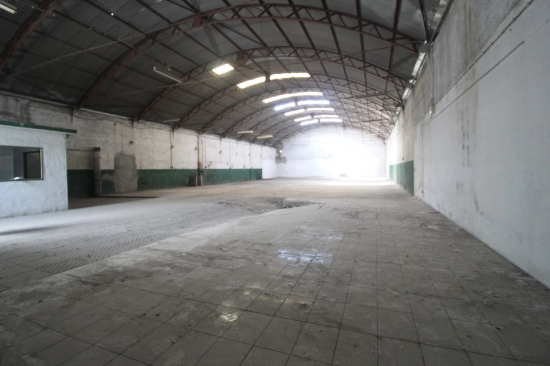 Armazém para Venda em Eiras e São Paulo de Frades Foto 1