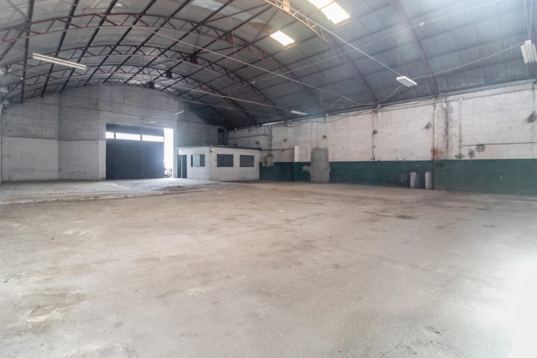 Armazém para Venda em Eiras e São Paulo de Frades Foto 8