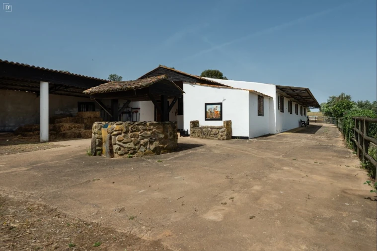 Moradia T6 para Venda em Ourique Foto 5
