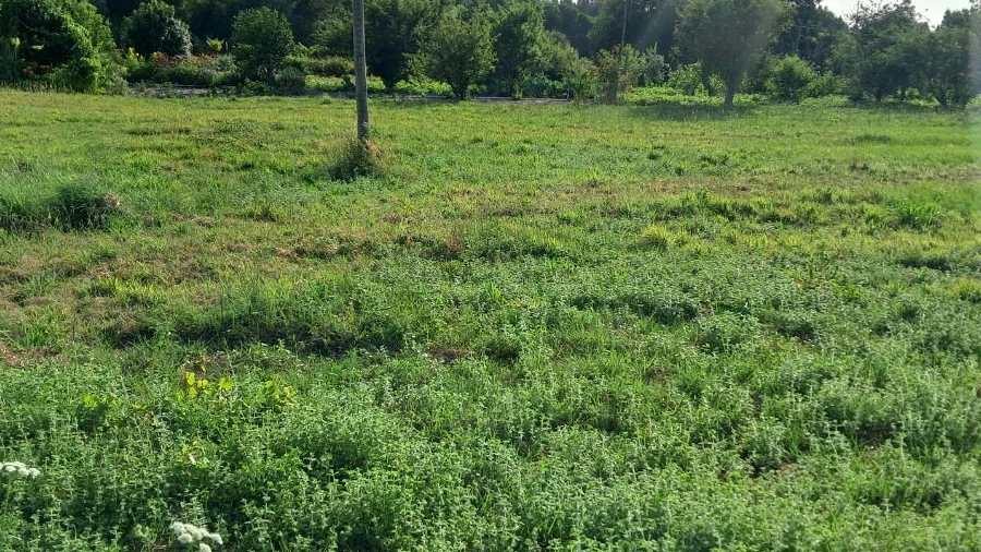 Terreno P/ Prédio para Venda em Mira