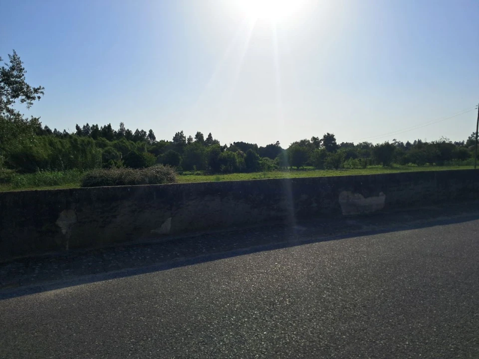 Terreno P/ Prédio para Venda em Mira Foto 4