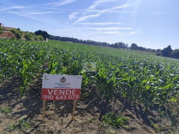 Terreno para Venda em Ouca