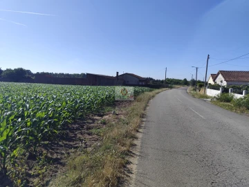 Terreno para Venda em Ouca