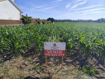 Terreno para Venda em Ouca