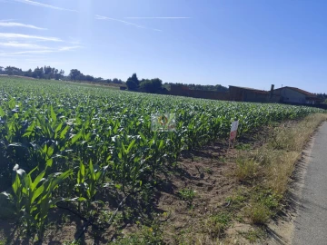 Terreno para Venda em Ouca