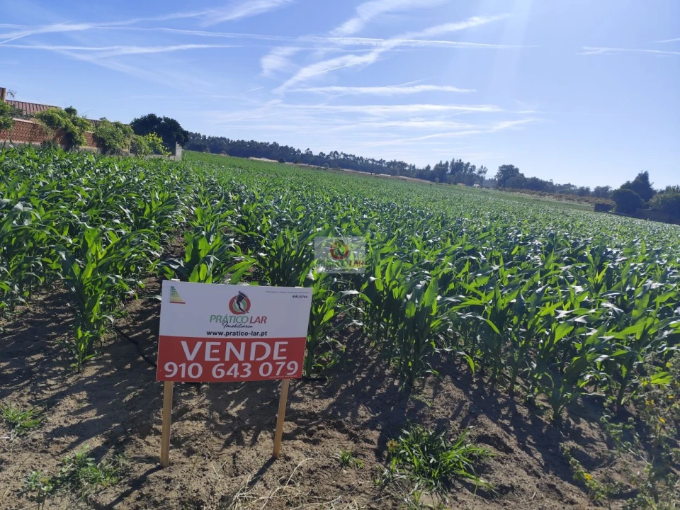 Terreno para Venda em Ouca Foto 4