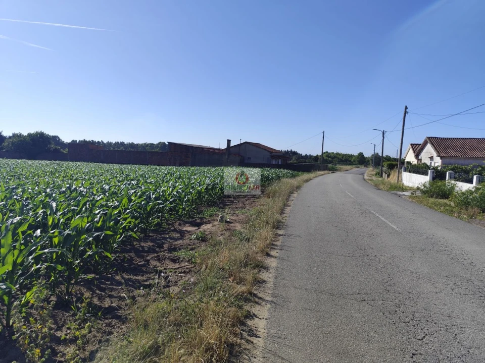 Terreno para Venda em Ouca Foto 2