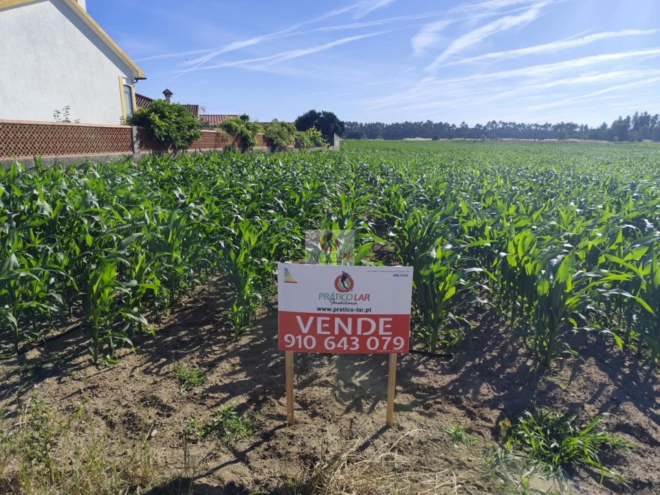 Terreno para Venda em Ouca Foto 3