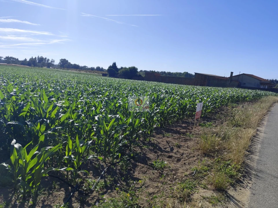 Terreno para Venda em Ouca Foto 6