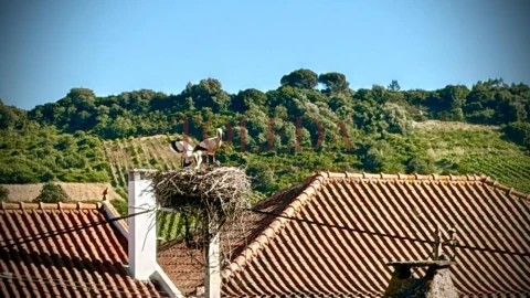 Moradia T2 para Venda em Manique do Intendente, Vila Nova de São Pedro e Maçussa