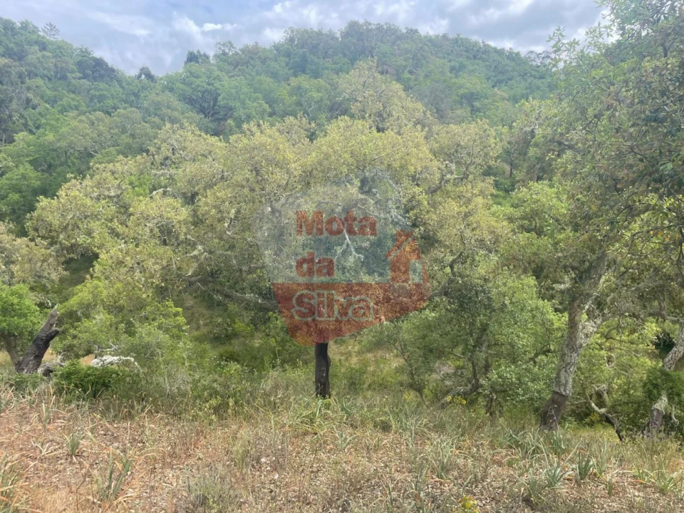 Terreno para Venda em São Francisco da Serra Foto 5
