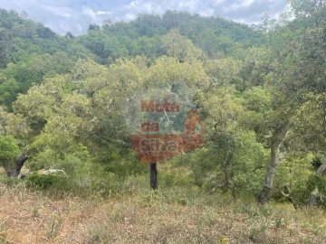 Terreno para Venda em São Francisco da Serra
