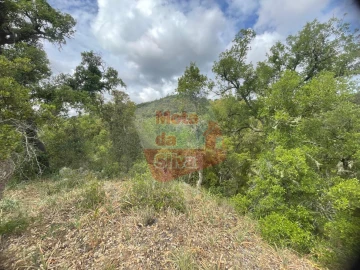 Terreno para Venda em São Francisco da Serra