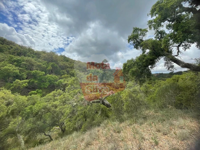 Terreno para Venda em São Francisco da Serra Foto 6