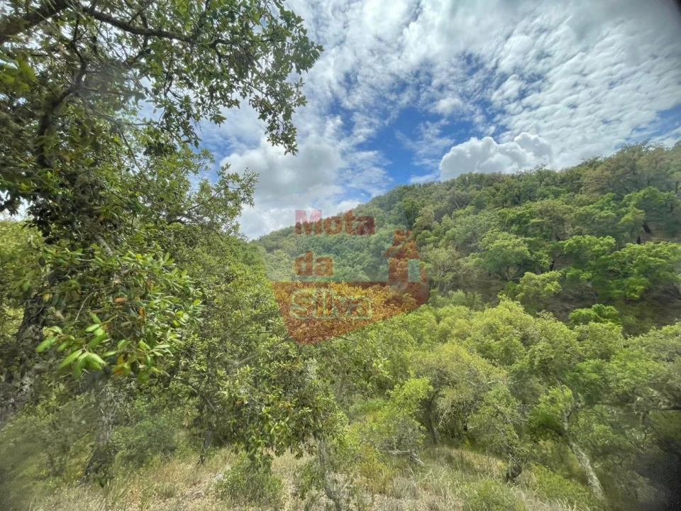 Terreno para Venda em São Francisco da Serra Foto 8