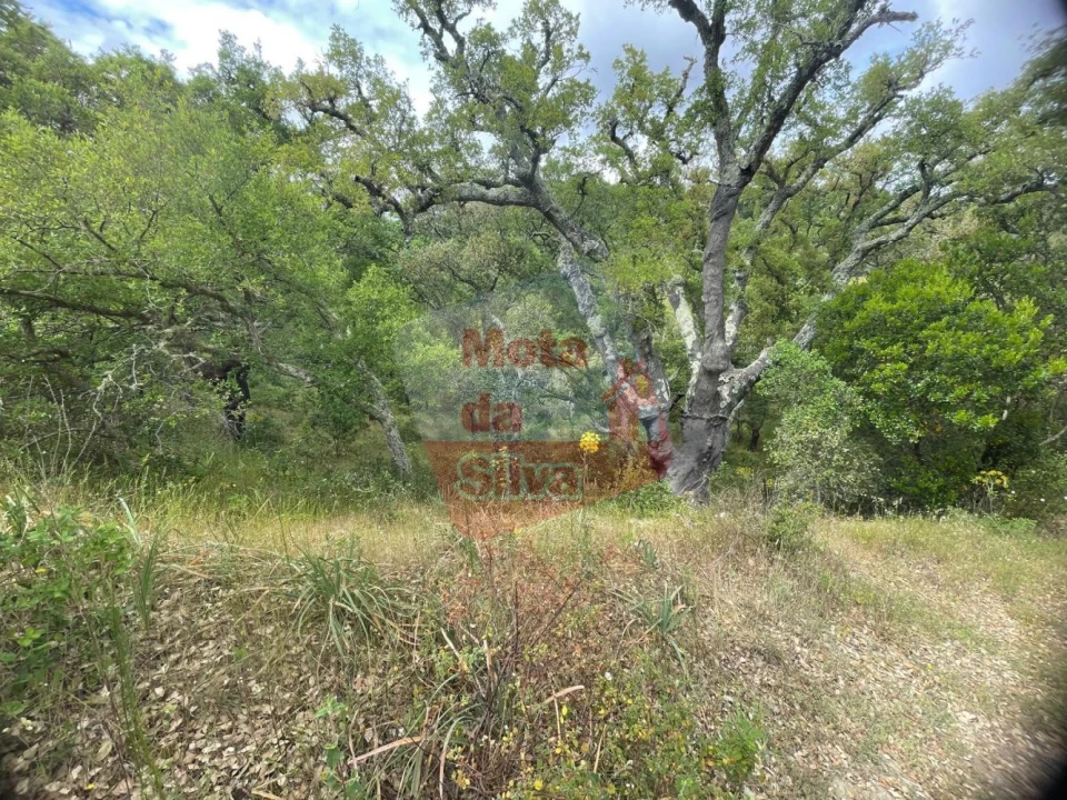 Terreno para Venda em São Francisco da Serra Foto 4