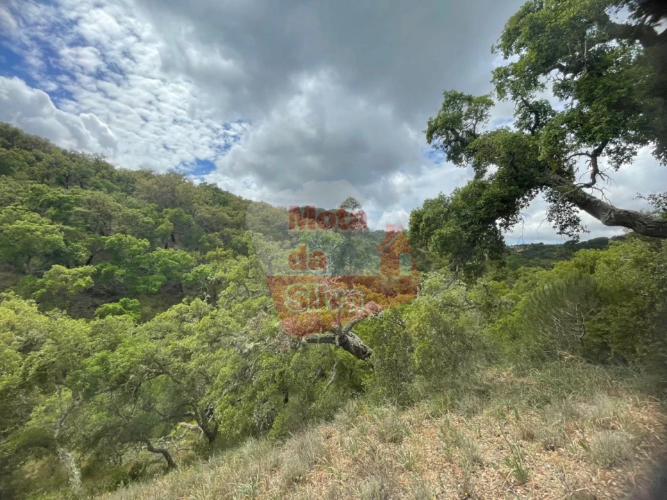 Terreno para Venda em São Francisco da Serra Foto 6