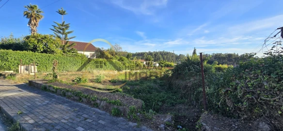 Moradia T3 para Venda em Quinchães