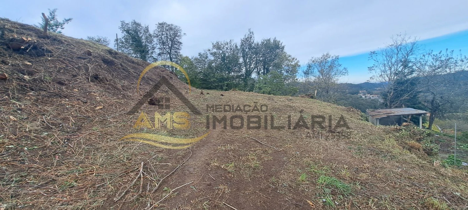 Terreno para Venda em Monte e Queimadela Foto 15