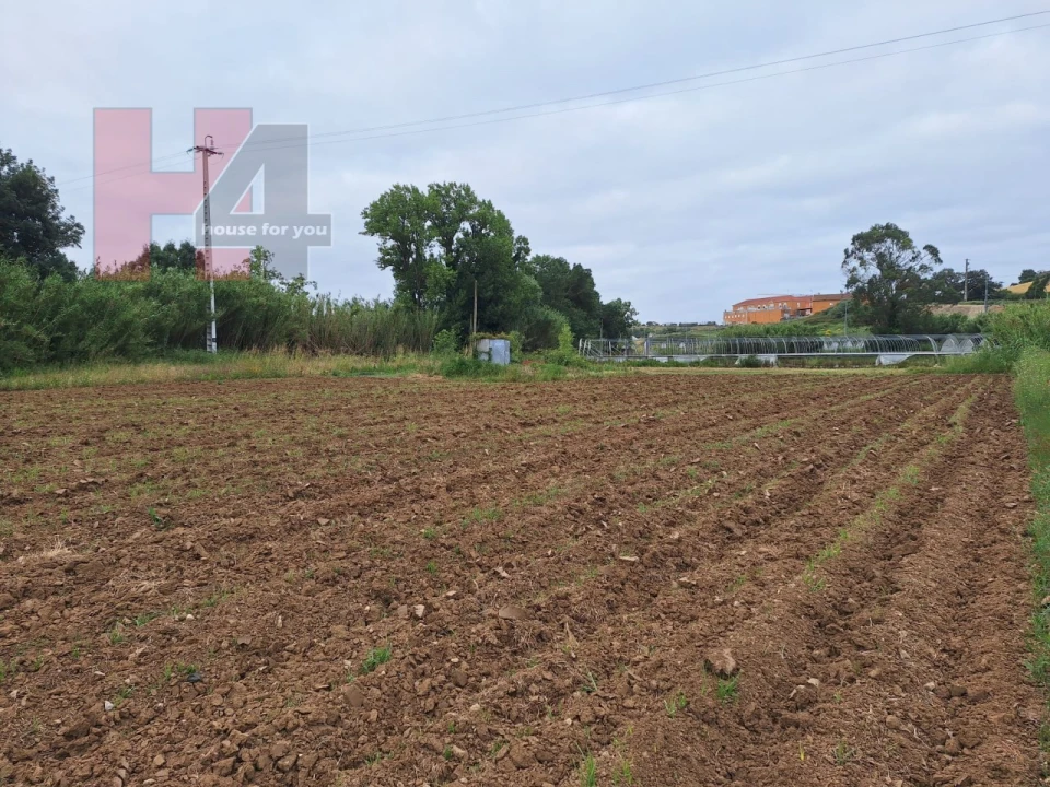 Terreno Agricola ou Rústico para Venda em Sapataria Foto 1
